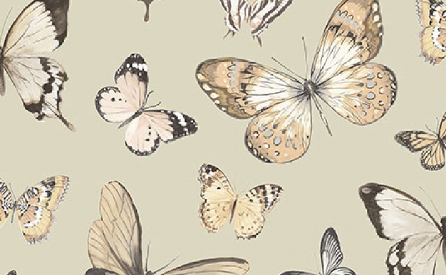 Обои Butterflies Chelsea Lane Collection JB60308