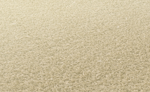Ковровые покрытия JAB ANSTOETZ FLOORING/Moto2 JAB ANSTOETZ FLOORING 3563-070