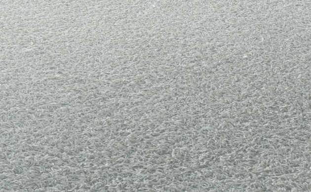 Ковровые покрытия JAB ANSTOETZ FLOORING/Moto2 JAB ANSTOETZ FLOORING 3563-151