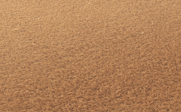 Ковровые покрытия JAB ANSTOETZ FLOORING/Moto JAB ANSTOETZ FLOORING 3563-360