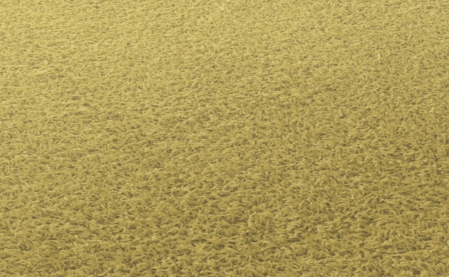 Ковровые покрытия JAB ANSTOETZ FLOORING/Moto2 JAB ANSTOETZ FLOORING 3563-432