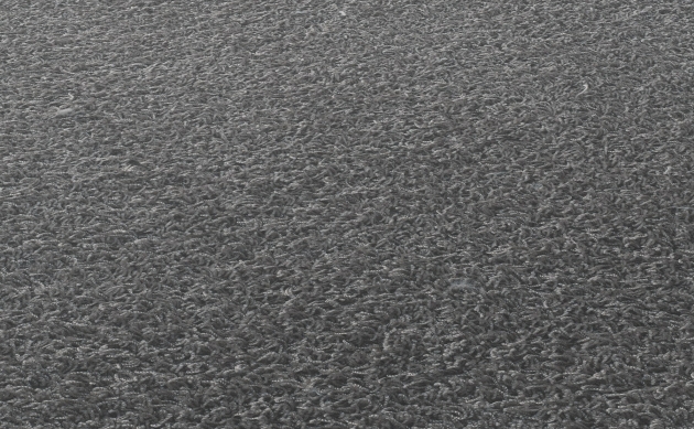Ковровые покрытия JAB ANSTOETZ FLOORING/Moto2 JAB ANSTOETZ FLOORING 3563-490