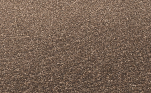 Ковровые покрытия JAB ANSTOETZ FLOORING/Moto2 JAB ANSTOETZ FLOORING 3563-522