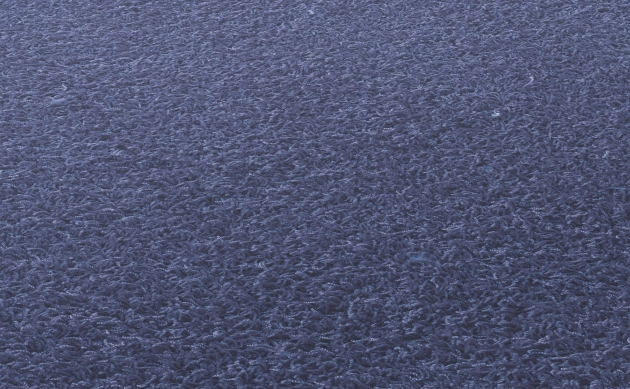 Ковровые покрытия JAB ANSTOETZ FLOORING/Moto2 JAB ANSTOETZ FLOORING 3563-652