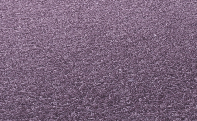 Ковровые покрытия JAB ANSTOETZ FLOORING/Moto2 JAB ANSTOETZ FLOORING 3563-683