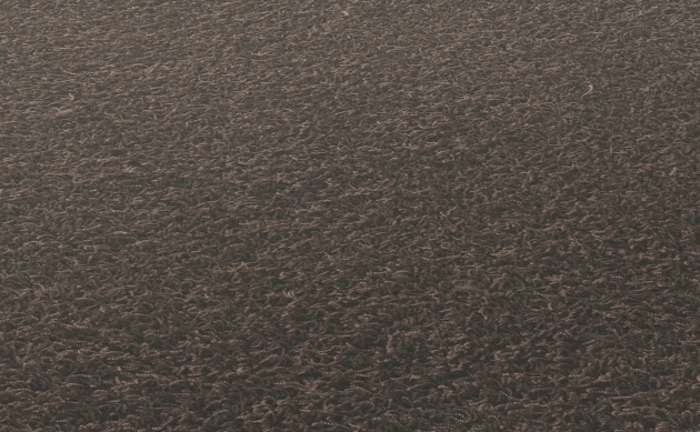 Ковровые покрытия JAB ANSTOETZ FLOORING/Moto2 JAB ANSTOETZ FLOORING 3563-726
