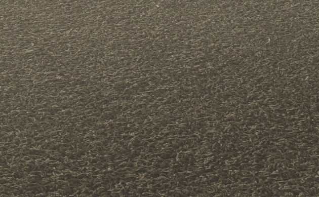 Ковровые покрытия JAB ANSTOETZ FLOORING/Moto2 JAB ANSTOETZ FLOORING 3563-731