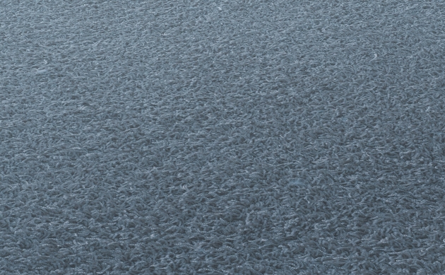 Ковровые покрытия JAB ANSTOETZ FLOORING/Moto2 JAB ANSTOETZ FLOORING 3563-780