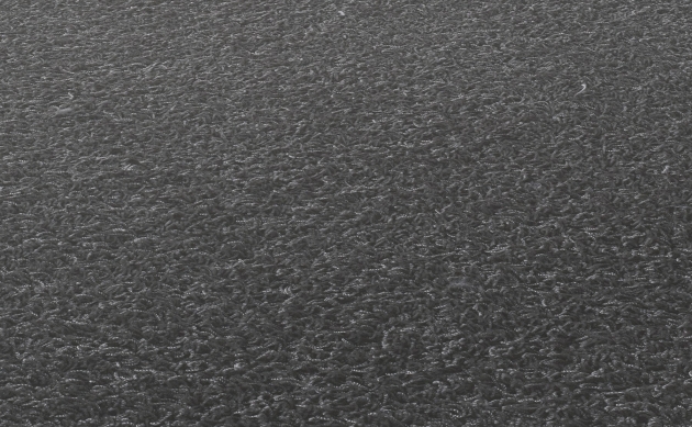Ковровые покрытия JAB ANSTOETZ FLOORING/Moto2 JAB ANSTOETZ FLOORING 3563-791