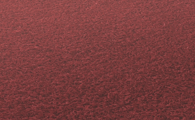 Ковровые покрытия JAB ANSTOETZ FLOORING/Moto2 JAB ANSTOETZ FLOORING 3563-810