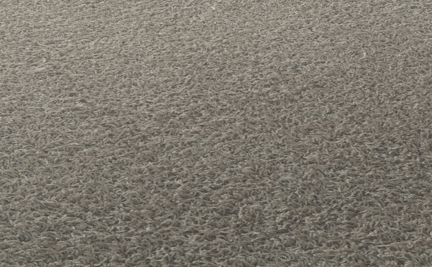 Ковровые покрытия JAB ANSTOETZ FLOORING/Moto2 JAB ANSTOETZ FLOORING 3563-821