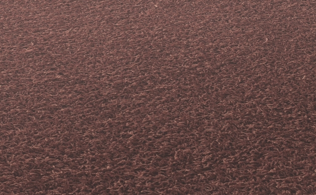 Ковровые покрытия JAB ANSTOETZ FLOORING/Moto2 JAB ANSTOETZ FLOORING 3563-861