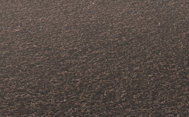 Ковровые покрытия JAB ANSTOETZ FLOORING/Moto2 JAB ANSTOETZ FLOORING 3563-922