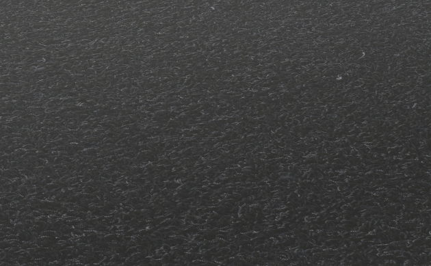 Ковровые покрытия JAB ANSTOETZ FLOORING/Moto2 JAB ANSTOETZ FLOORING 3563-993