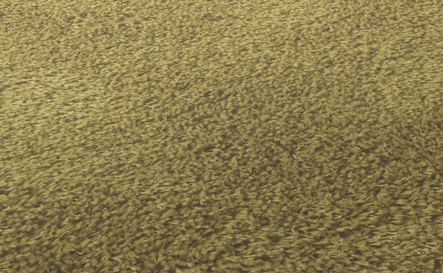 Ковровые покрытия JAB ANSTOETZ FLOORING/TWIN JAB ANSTOETZ FLOORING 3622-044