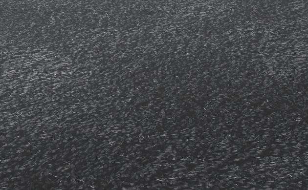 Ковровые покрытия JAB ANSTOETZ FLOORING/TWIN JAB ANSTOETZ FLOORING 3622-194