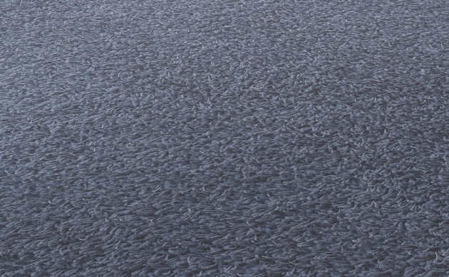 Ковровые покрытия JAB ANSTOETZ FLOORING/Joy JAB ANSTOETZ FLOORING 3623-058