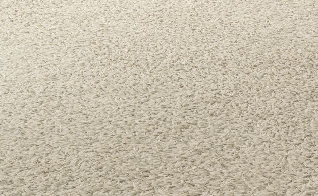 Ковровые покрытия JAB ANSTOETZ FLOORING/Joy JAB ANSTOETZ FLOORING 3623-070
