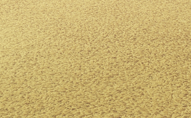Ковровые покрытия JAB ANSTOETZ FLOORING/Joy JAB ANSTOETZ FLOORING 3623-141