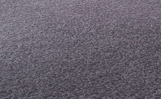 Ковровые покрытия JAB ANSTOETZ FLOORING/Joy JAB ANSTOETZ FLOORING 3623-186