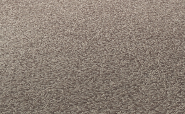 Ковровые покрытия JAB ANSTOETZ FLOORING/Joy JAB ANSTOETZ FLOORING 3623-524