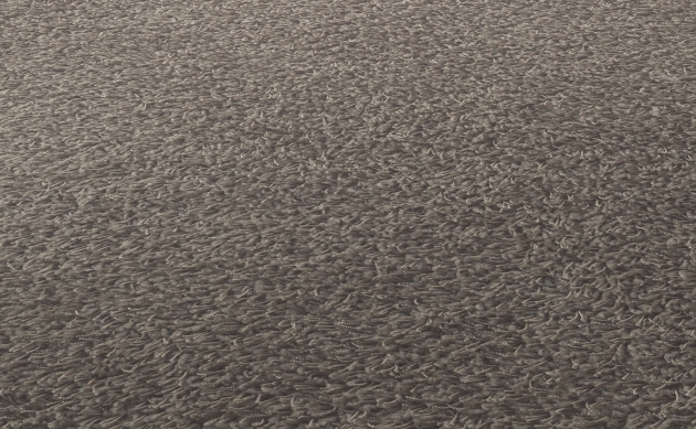 Ковровые покрытия JAB ANSTOETZ FLOORING/Joy JAB ANSTOETZ FLOORING 3623-825