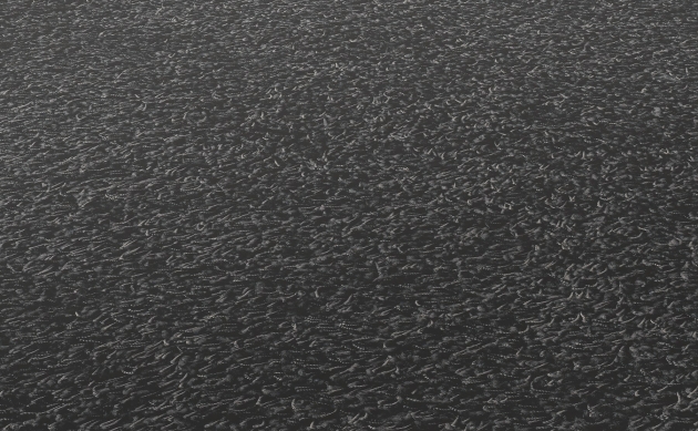 Ковровые покрытия JAB ANSTOETZ FLOORING/Joy JAB ANSTOETZ FLOORING 3623-894