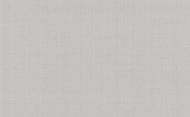 Обои PLAIN SALOMÈ-IOLANTA-NABUCCO-LOHENGRIN PRECIOUS FIBER 2  GA4 4791