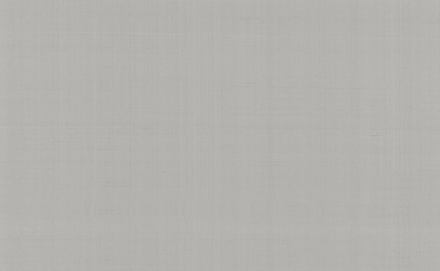 Обои PLAIN SALOMÈ-IOLANTA-NABUCCO-LOHENGRIN PRECIOUS FIBER 2  GA4 9062