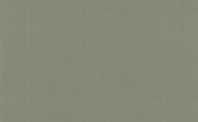Обои Armani casa/Plain_Nab_Tosk PRESIOUSFIBER 1 9067