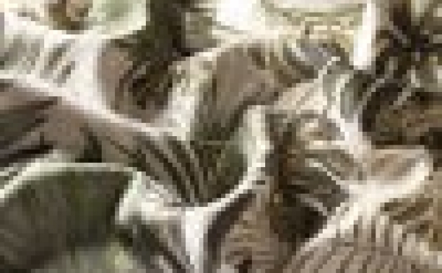 Текстиль Foresta Botanica Italian Touch CA1443-030