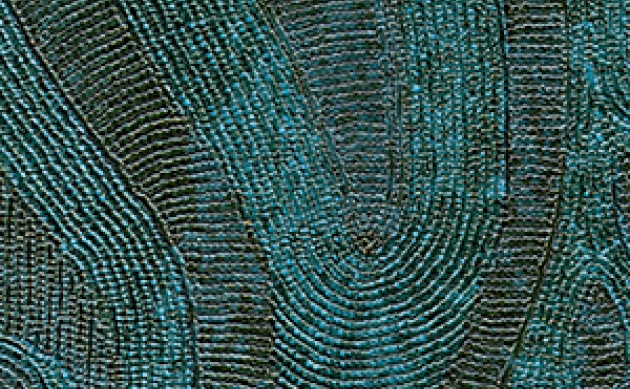 Обои Tourmaline Perles VP 911 10