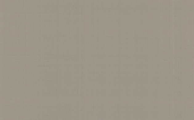 Обои PLAIN SALOMÈ-IOLANTA-NABUCCO-LOHENGRIN PRECIOUS FIBER 2  GA4 9063