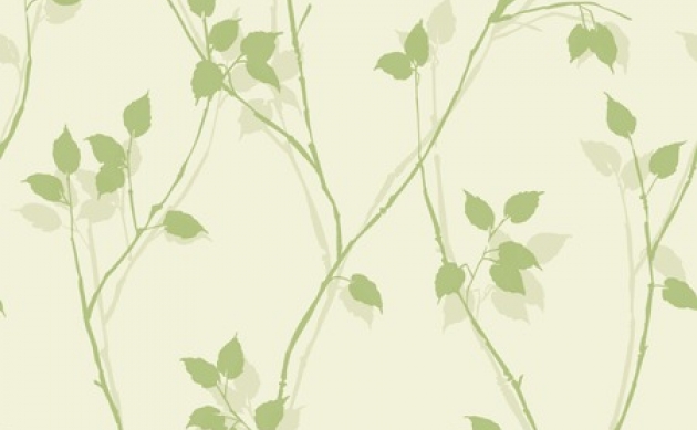 Обои Vine  Simplicity Collection 40024