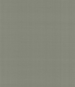 Обои PLAIN SALOMÈ-IOLANTA-NABUCCO-LOHENGRIN PRECIOUS FIBER 2  GA4 9061